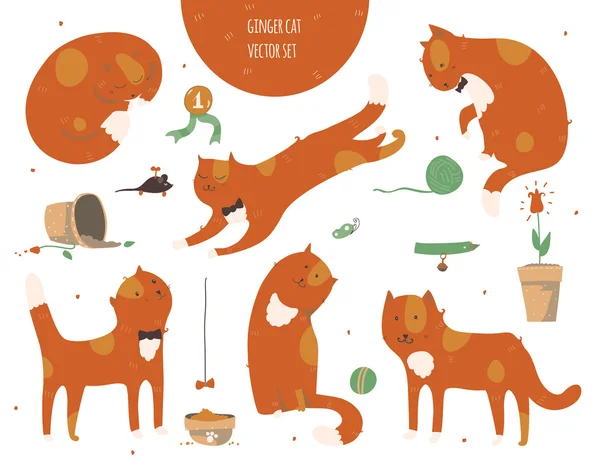 Set of kind funky ginger cats, isolated on white, fun, stylish. Vector Graphics