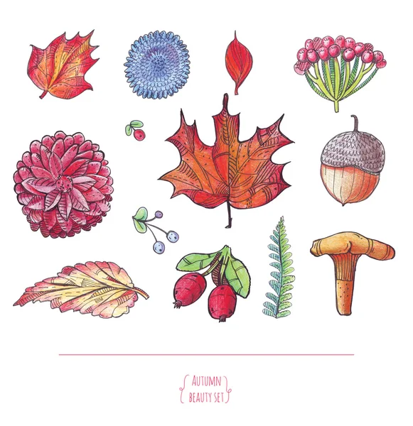 Hand getekende herfst mooie set van bladeren, bloemen, takken, paddestoel en bessen, geïsoleerd op witte achtergrond. Kleurrijke illustratie voor herfst ontwerp, afdrukken, hand getekende met kleurrijke potloden — Stockfoto