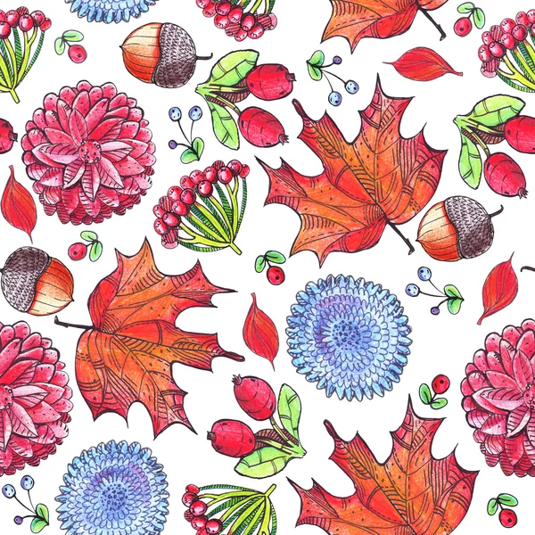 Varrat nélküli illusztráció őszi virágok, levelek és bogyók fehér alapon. Színes ceruzával rajzolt mintás kézzel. — Stock Fotó