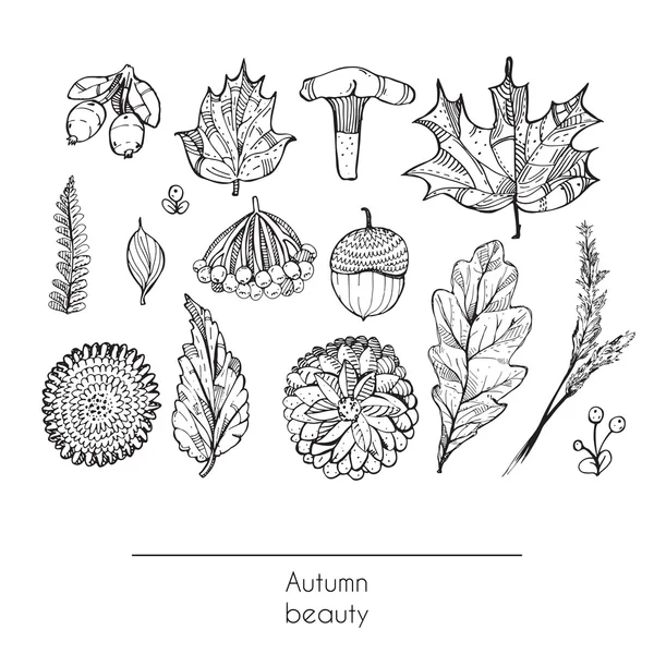 Autunno disegnato a mano bella serie di foglie, fiori, rami, funghi e bacche, isolato su sfondo bianco. Illustrazione in bianco e nero che mostra la bellezza autunnale della natura con oggetti decorati — Vettoriale Stock