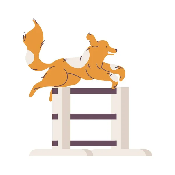 18 Dog jumping over Stock Illustrations Depositphotos