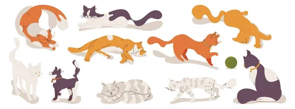 Varios Gatos Jugando Durmiendo Relajándose Personajes Dibujos Animados Diferentes Poses — Vector de stock