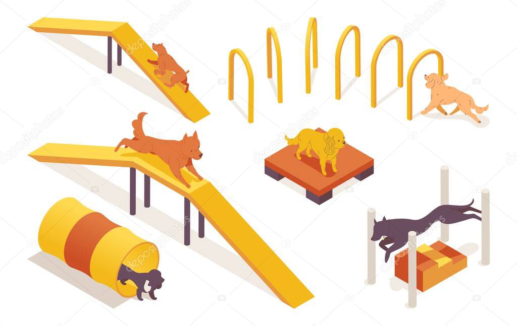 Isometric collection of dogs training on pet agility equipment elements. 3d characters running, jumping and climbing.