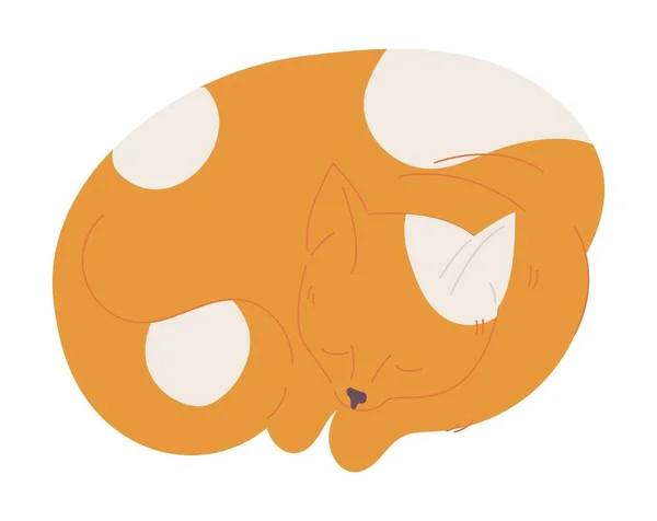 Kleine Gemberkat Slaapt Geïsoleerd Wit Cartoon Karakter Met Witte Vlekken — Stockvector