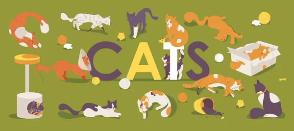 Nagy Fogalom Illusztráció Macskákkal Nagy Betűkkel Macska Protézissel Kúp Gallérral — Stock Vector