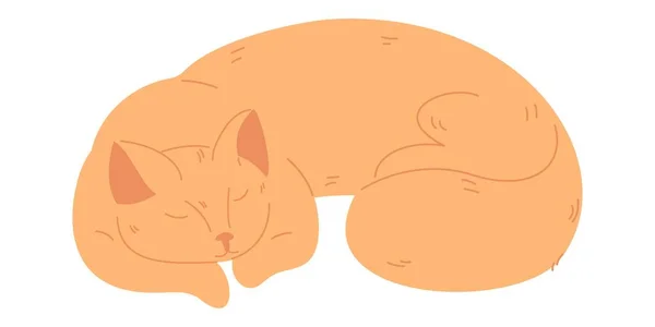 Peach Cat Sleeping Isolated White Cartoon Vector Illustration — Wektor stockowy
