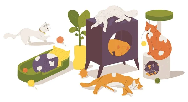 Varios Gatos Durmiendo Jugando Muebles Cama Para Perros Pequeños Gatitos — Vector de stock