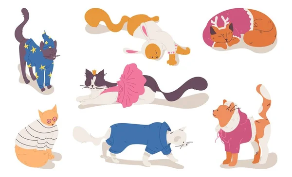 Különböző Macskák Ban Ruhák Részére Karácsony Ünnep Cica Ruha Bolt — Stock Vector