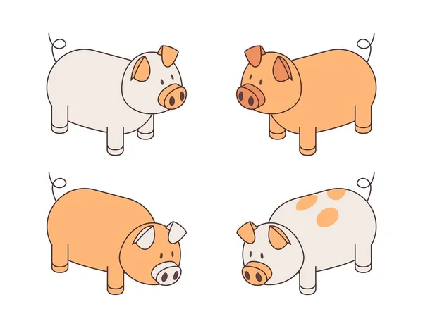 在白色上分离的有趣的小猪变异轮廓 米色和白色动物 — 图库矢量图片