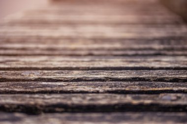 eski bir park bankında sabah