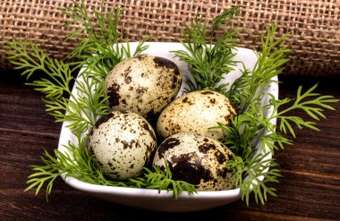 Floransa rezene ahşap arka plan üzerinde bir kase ile bıldırcın yumurtası