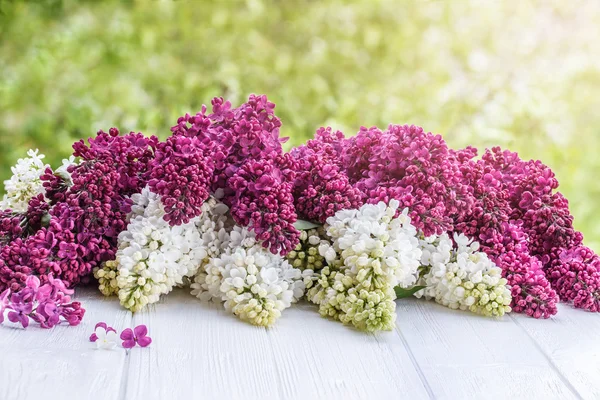 Lila lila och vitt på en planka — Stockfoto