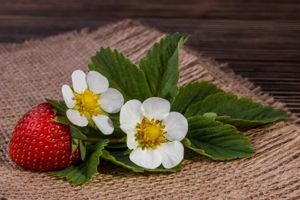 Red strawberries on an old table — Stock Photo, Image