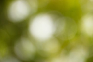 Doğal yeşil arkaplan 