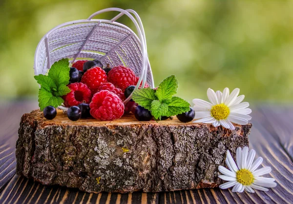 Taze Ahududu ve sepet içinde siyah kuş üzümü 