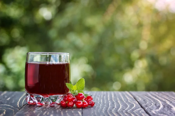 Red currant  and red currant drink — Stock Photo, Image