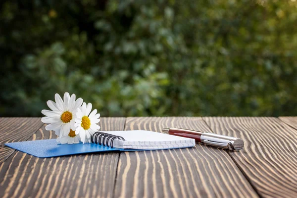Notebook branco em branco, caneta e camomila na mesa ao ar livre — Fotografia de Stock
