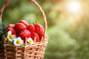 çilek doğal arka planda