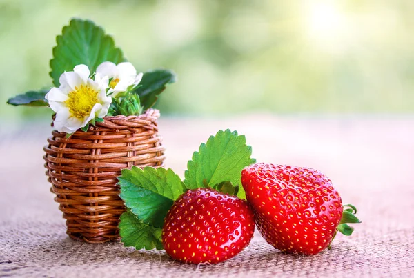 Strawberries on a wooden  table outdoors — Stock Photo, Image