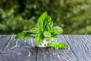 fesleğen bitki sepeti ahşap tablo