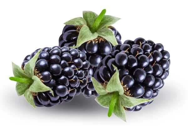 Черные ягоды изолированы на белом — стоковое фото