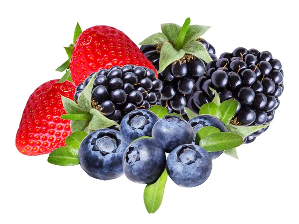 Mûres, fraises et bleuets isolés — Photo