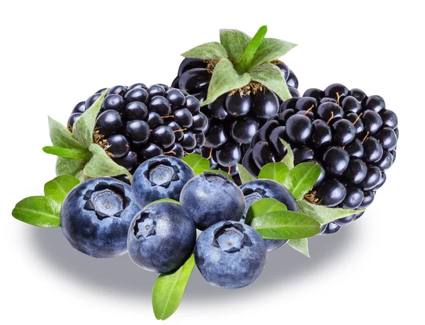 Blackberries and blueberries, isolated — Stock Photo, Image