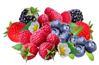 İzole bir yaban mersini, böğürtlen, ahududu, çilek ve 