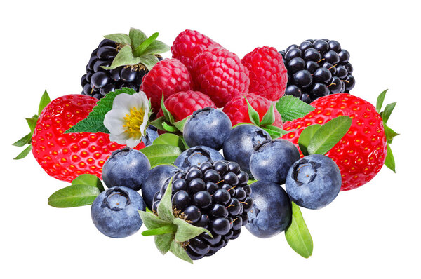 Blackberries ,raspberries ,strawberry and blueberries, isolated 