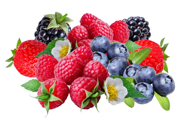 블랙베리, 라스베리, 딸기, 블루베리, 절연 — 스톡 사진
