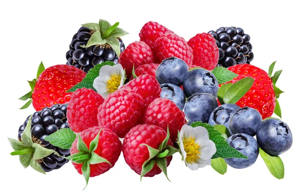 블랙베리, 라스베리, 딸기, 블루베리, 절연 — 스톡 사진