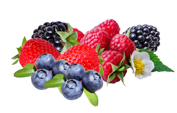 Mûres, framboises, fraises et bleuets, isolées — Photo
