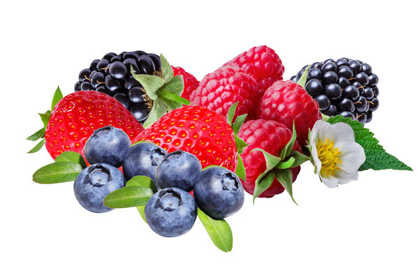 Blackberries ,raspberries ,strawberry and blueberries, isolated 