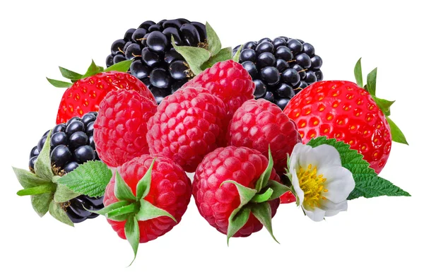 Blackberries ,raspberries and strawberry  , isolated — Stock Photo, Image