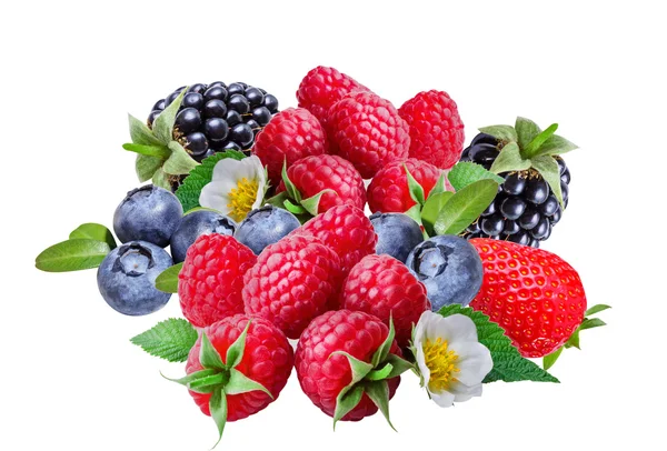 İzole bir yaban mersini, böğürtlen, ahududu, çilek ve 