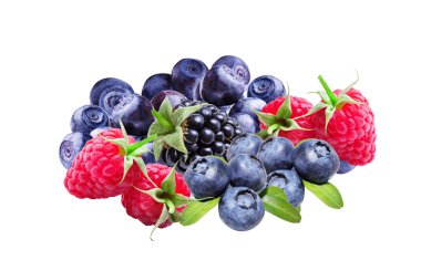 Bilberries, yaban mersini, ahududu ve böğürtlen, izole