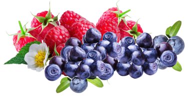 yaban mersini, yaban mersini ve ahududu, izole etmek