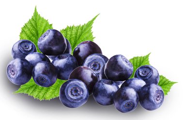 Taze Bilberries yaban mersini