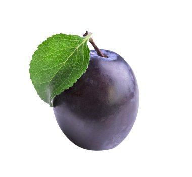  Kayısı meyve ve taze bilberries 