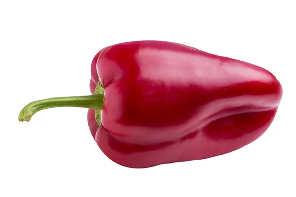 Paprika geïsoleerd op wit — Stockfoto