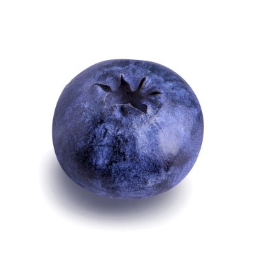 İzole taze Bilberries yaban mersini