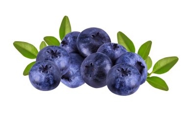 İzole taze Bilberries yaban mersini