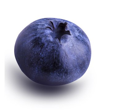 Beyaz izole taze Bilberries yaban mersini