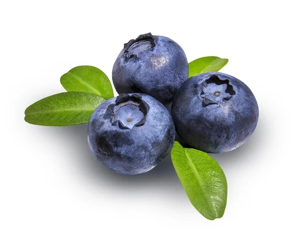 Bilberries yaban mersini, izole üzerinde beyaz arka plan
