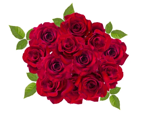 Rosa vermelha isolada no branco — Fotografia de Stock