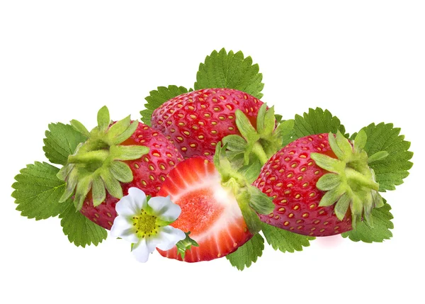 Fraises isolées sur blanc — Photo