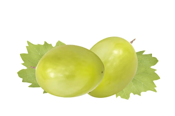 Uvas verdes aisladas en el blanco — Foto de Stock