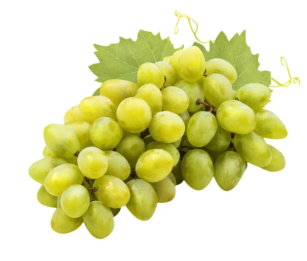 Uvas verdes aisladas en el blanco — Foto de Stock