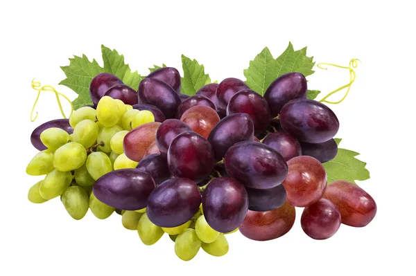 Green and red ripe grape isolated on the white — Stock Photo, Image