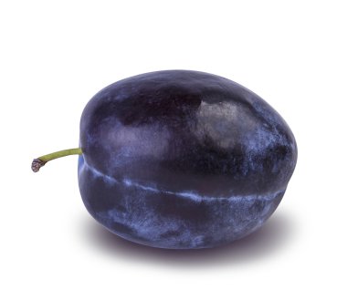 Erik üzerinde beyaz izole